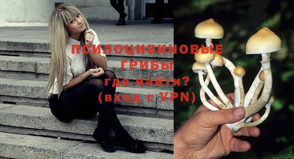 ГАЛЛЮЦИНОГЕННЫЕ ГРИБЫ Балахна