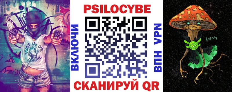 Псилоцибиновые грибы MAGIC MUSHROOMS  Купить  Макаров 